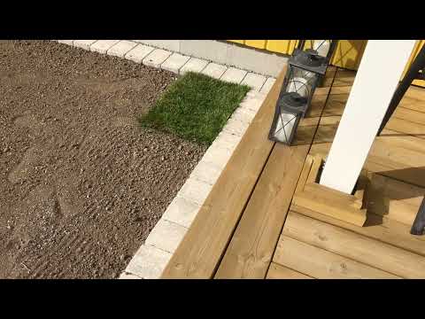 Bygga hus - Del 81 - Det blir grönare med rullgräs