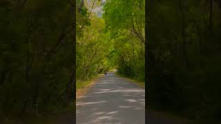 Download lagu Yunhi Kat Jayega Safar || Alka Yagnik || Kumar Sanu || 90's Superhit Song 👌 mp3