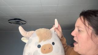 Squishmallows 12-Inch Highland Cow Review: Is It Worth It