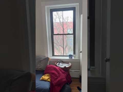 116 Willow St.