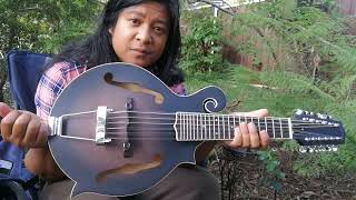 Video thumbnail for So I finally bought a Guitar Mandolin Gold Tone F12 by Mountain Home - Jerrel D