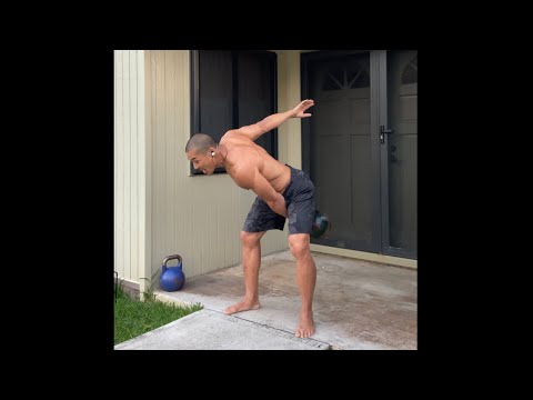 Day 245 FitPro Hawaii Workout - 24 kg. Kettlebell Snatch (ACTUAL SPEED)