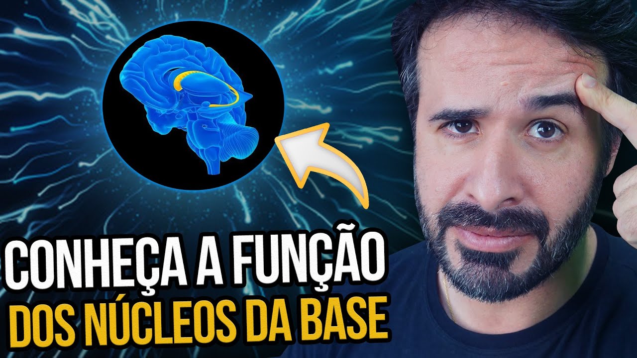 CONHEÇA A FUNÇÃO DOS NÚCLEOS DA BASE.