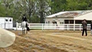 preview picture of video 'Novice Amateur Hunter Under Saddle Harlansburg'