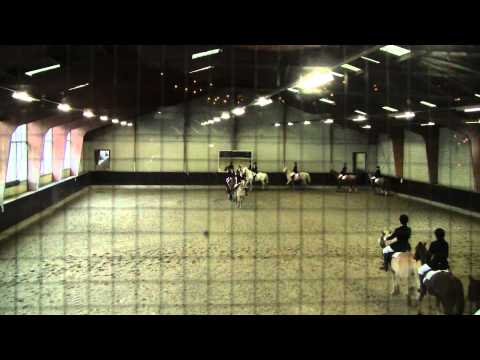 Ponycarrousel nieuwjaarsreceptie Manege de Ruif 3