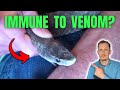‘Venom Man’ Lets Deadliest Snakes Bite Him | Zoologist Reacts to Tim Friede