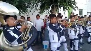 LA CARENCIA (Panteón Rococo) - Banda Los Oaxapens.