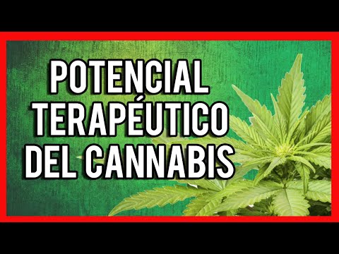 download lagu mp3 mp4 Cannabis Terapeutico, download mp3 Cannabis Terapeutico free download, download mp3 Cannabis Terapeutico
