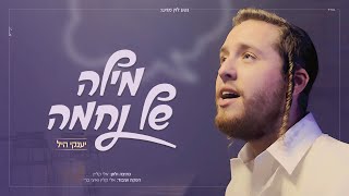 יענקי היל - מילה של נחמה | Yanki Hill - Mila Of Nechama