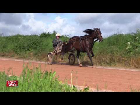 CARNET DE PISTE BOLD EAGLE - SÉBASTIEN GUARATO - ELITLOPPET - 19/05/2017
