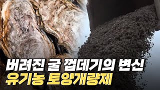 (02:51) (NEW) 굴 패각으로 유기농 토양개량제를 만들다(YTN사이언스)의 이미지