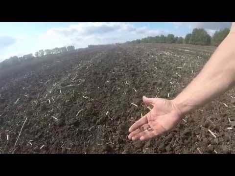 Spargelhof Kremmen - Drillmaschine