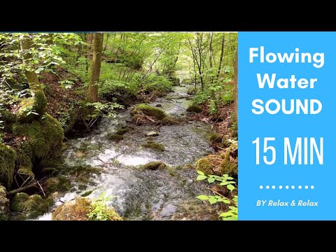 Calm Sounds - 15 MINUTES of Flowing Water and forest Sounds