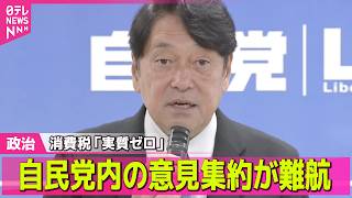 【政治ライブ】消費税「実質ゼロ」異論相次ぐ  自民党内の意見集約が難航 ──政治ニュースまとめ （日テレNEWS LIVE）