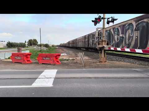 6MP9 Twin CF classes passes through Angle Vale Road, Virginia