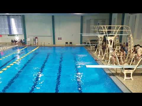 2017 UNCW Men's 1m - Dive 6 105C