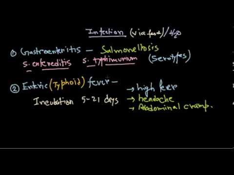 Salmonella infection