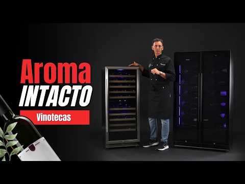 Vinoteca profesional: características y funcionamiento | Gastrodomus