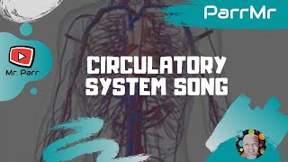 Circulatory System Song