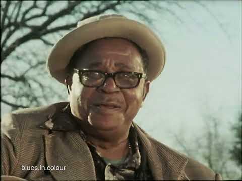 Big Joe Williams - 'Sloppy Drunk Blues' live 1976