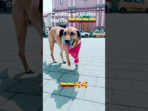 28 de febrero de 2026