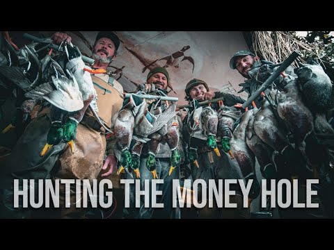 Hunting the MONEY HOLE // Back to HEAVEN // with Beau Brooks, Brook Richard and Ira McCauley