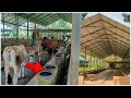 Cow Shed Plans And Designs Attingal Farm Tourism Dairy Farm