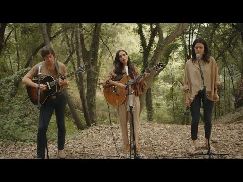 LEA LU - WOLF (live) feat. David Zincke and Yana