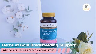 [REVIEW] Lợi sữa Herbs of Gold Breastfeeding Support- Giúp sữa mẹ dồi dào, chất lượng- HÀNG ÚC 247