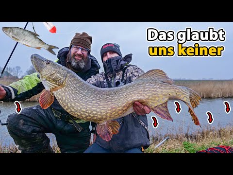 Matze Koch: 2 Tage Natur- und Kunstköderangeln (Fische rasten wegen Bedingungswechsel aus)