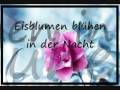 Subway To Sally - Eisblumen [mit Songtext]