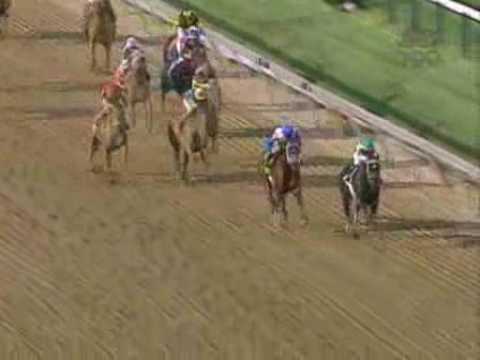 War Emblem - 2002 Preakness Stakes (NBC)