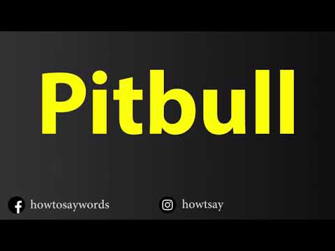 How To Pronounce Pitbull