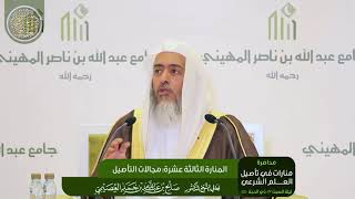 صورة المنارة الثالثة عشرة: مجالات التأصيل