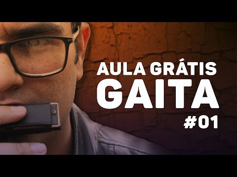 AULA GRÁTIS  GAITA #01