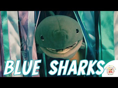 Blue Sharks Kids Song All About Sharks for Children Educational Animal Video for Kids Baby Music