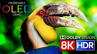 Animal Moments HDR 8K VIDEO ULTRA HD - BEST TV 4K VIDEO DOLBY ATMOS