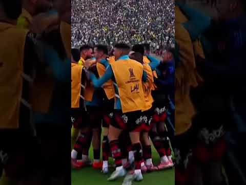 revoltante!😩 #naçãorubronegra #futebol #flamengo