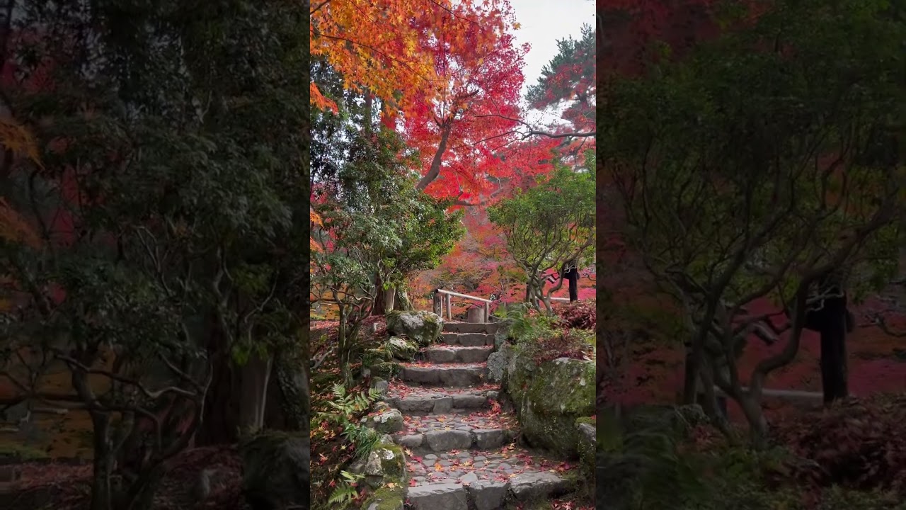 YouTube Short thumbnail