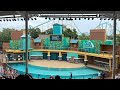 Sea Lion And Otter Spotlight 4K SeaWorld Orlando July 4 2021