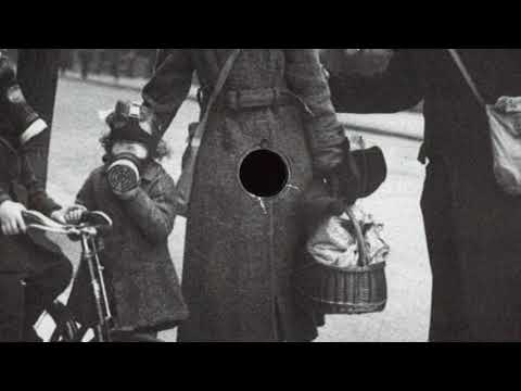 Anestie Gomez - Codsworth