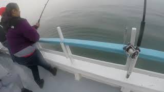 Fishing Long Island Sound on the Sunbeam Fleet.