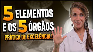 5 elementos e os 5 órgãos - Prática de excelência!