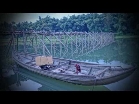 Tường vi ngõ quê - Trần Ngọc Vũ