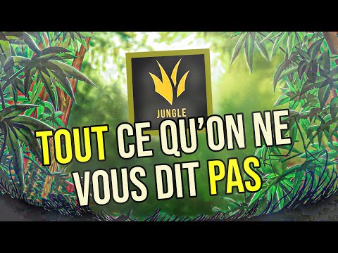 GUIDE JUNGLE - Les bases que VOUS DEVEZ connaître