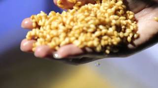 รายการ ทำงานทำเงิน ธุรกิจ ต้นอ่อนข้าวสาลี 08 ธ.ค. 58