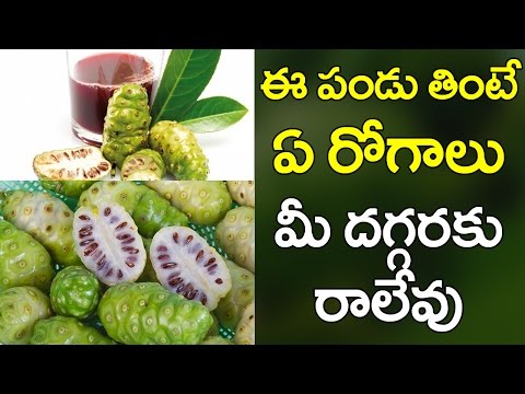 Impressive benefits of noni juice/ advantages and uses of no...