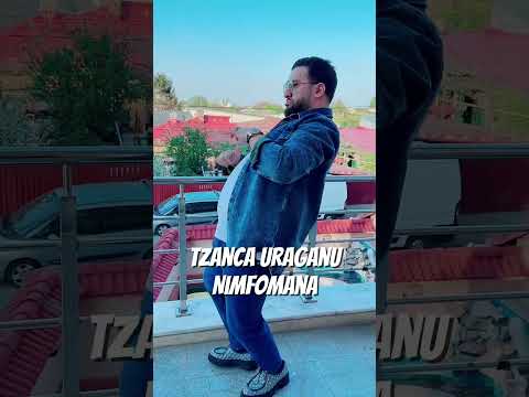 Tzanca Uraganu - Damelo #shorts