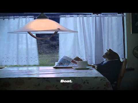 I should buy a boat cat Meme