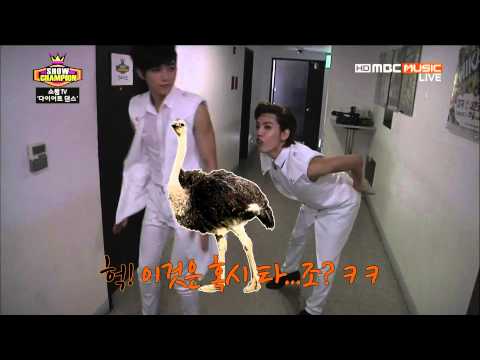 130731 INFINITE - Backstage @Show Champion